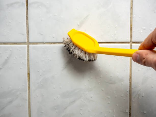 Best Mold Testing and Removal  in Eatontown, NJ