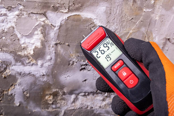 Best Attic Mold Removal  in Eatontown, NJ